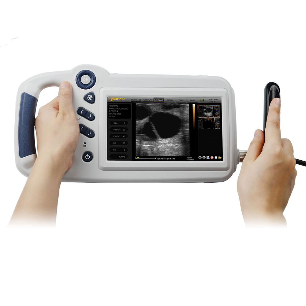 L80 Compact Touch Veterinary Ultrasound physiotherapy machine price	 2