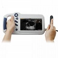 L80 Compact Touch Veterinary Ultrasound physiotherapy machine price	 2