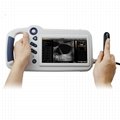 L80 Compact Touch Veterinary Ultrasound physiotherapy machine price	