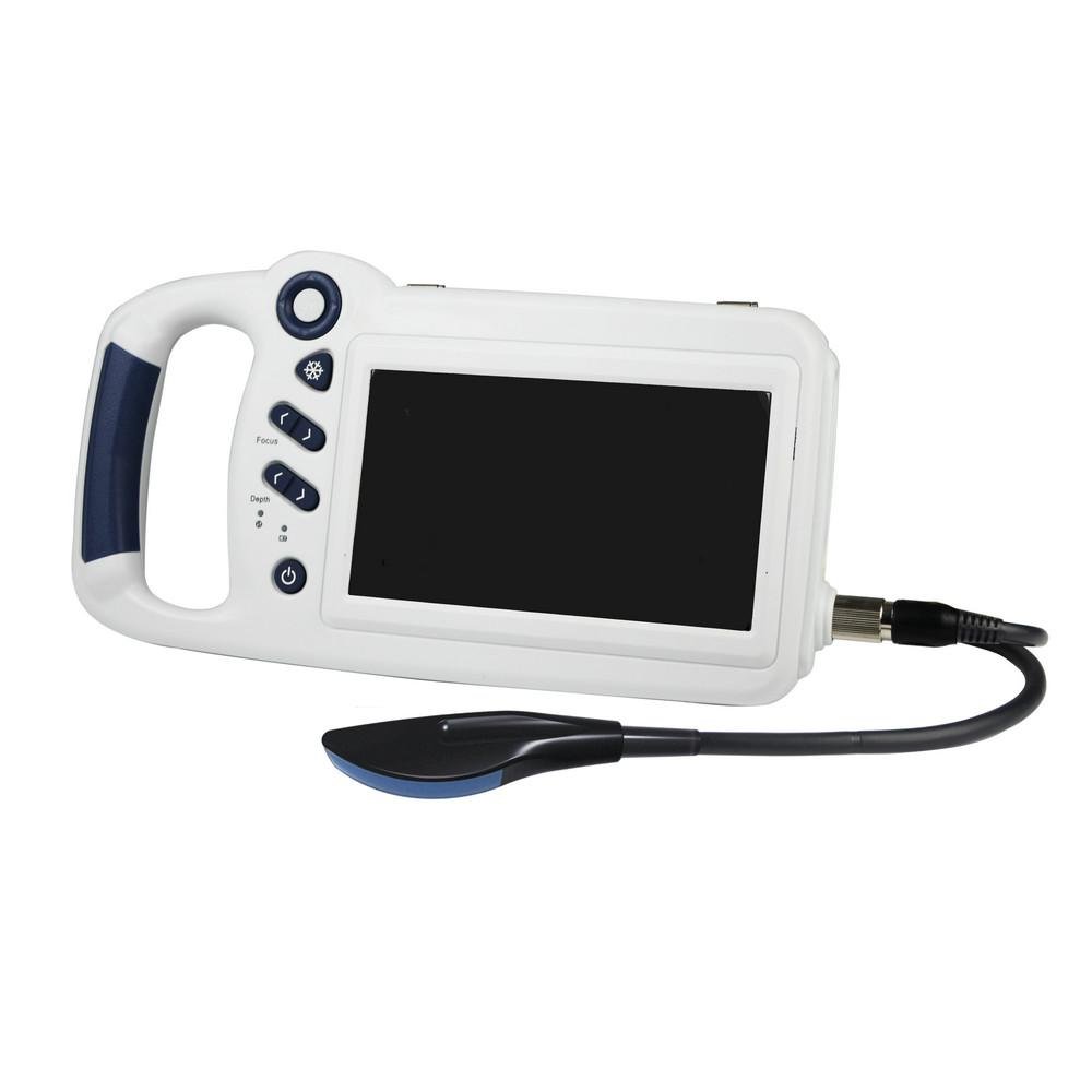 L80 Compact Touch Veterinary Ultrasound physiotherapy machine price	 3