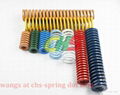 JIS Light Load Japanese Standard Blue Rectangle Springs CSWL 2