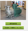 2BV Water- ring vacuum pump 1