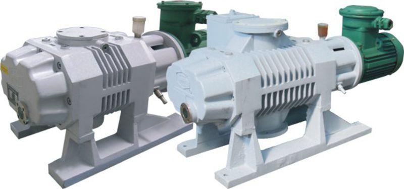 Roots Vacuum Pump