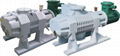 Roots Vacuum Pump 1