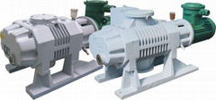 Roots Vacuum Pump