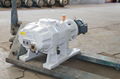 Roots Vacuum Pump 3