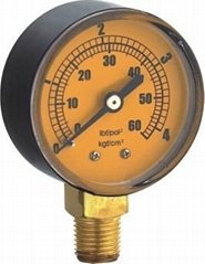 Dry pressure gauge