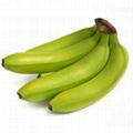 Fresh Green Banana 1