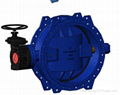 BV5 AWWA C504 Butterfly Valves