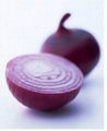 onion 2