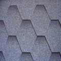 Mosaic Asphalt Shingles 1