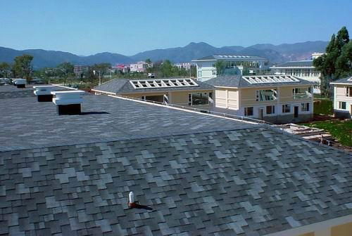 Goethe Asphalt Roofing Shingles 3