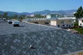 Goethe Asphalt Roofing Shingles 3