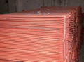 Electrolytic Copper Cathode 1