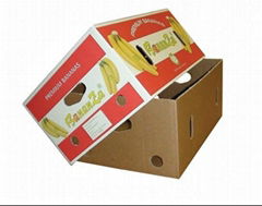 color printed fruit packaging boxes