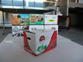 vegetable packing box 3