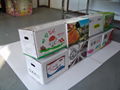 FRUIT AND VEGETABLE CORRUGATED BOX 2