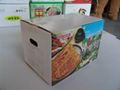 FRUIT AND VEGETABLE CORRUGATED BOX 3