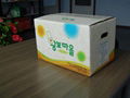 Color Printing Corrugated fruit  boxes 1