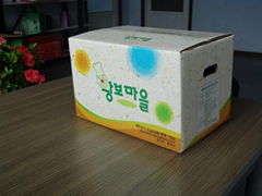 Color Printing Corrugated fruit  boxes