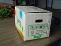 Color Printing Corrugated fruit  boxes 3
