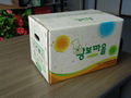 Color Printing Corrugated fruit  boxes 4