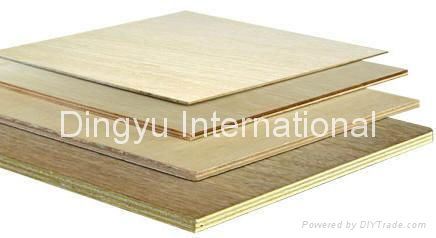 Commercial Plywood 2