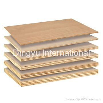 Commercial Plywood 3