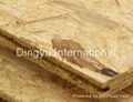 Orientated Straight Board (OSB) 2