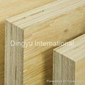 Laminated Veneer Lumber (LVL) 2