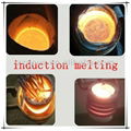 Induction melting machine 1