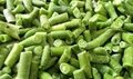 IQF Frozen French Beans