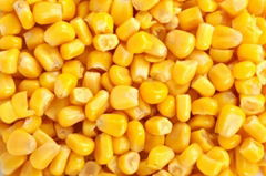 Frozen Sweet Corn