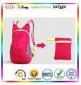 2014 fashion waterproof foldable bag & foldable backpack bag  1