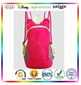 2014 fashion waterproof foldable bag & foldable backpack bag  3