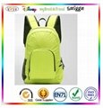 2014 guangdong factory travelling foldable backpack bags 3