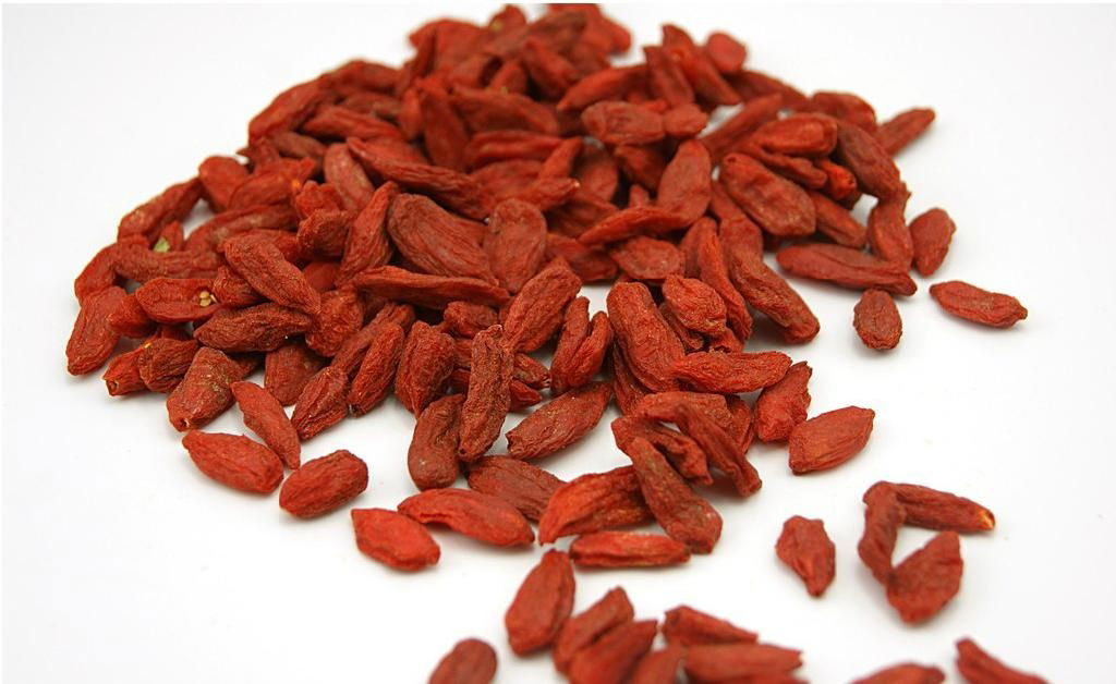 Sun Dried Goji berry(180,220,350,500) from China 2