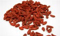 Sun Dried Goji berry(180,220,350,500) from China 2