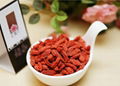 Sun Dried Goji berry(180,220,350,500) from China