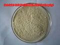 Garlic Extract(Powder or Oil) with Alliin/Allicin  2