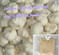 Garlic Extract(Powder or Oil) with Alliin/Allicin  3