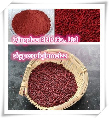 Water Soluble Red Yeast Rice from China BNP 2