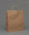 Brown Paper Bag 3