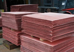 Copper Cathodes 