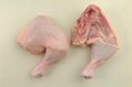 Halal Frozen Chicken  5