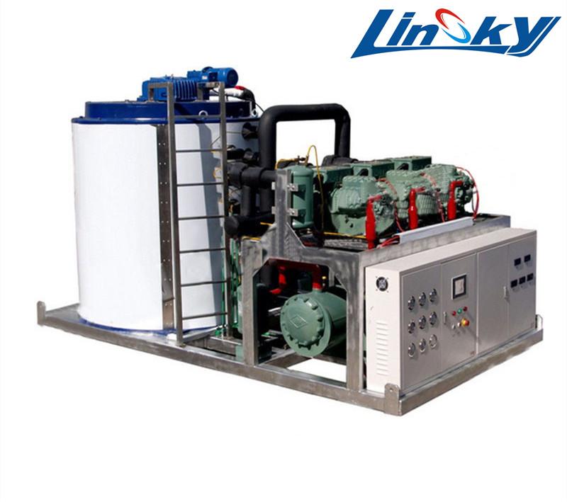 Factory ice machine 10 ton ice plant machine philippines LIF100K