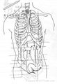 医学图书插画 5