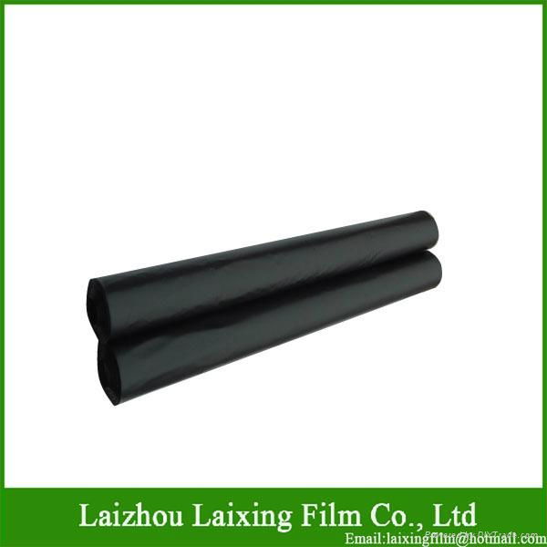 Laixing Film/PE Film