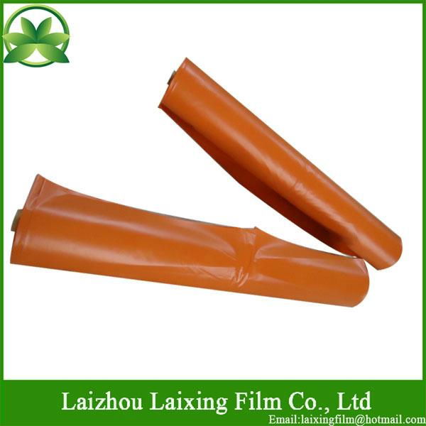 Blow Molding Film 2