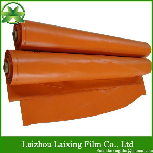 Blow Molding Film 3